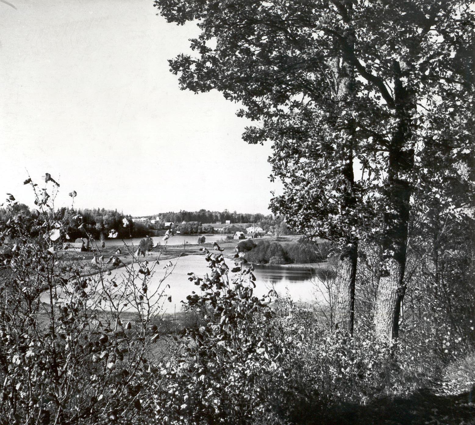 Foto. Vaade Rõuge asulale.