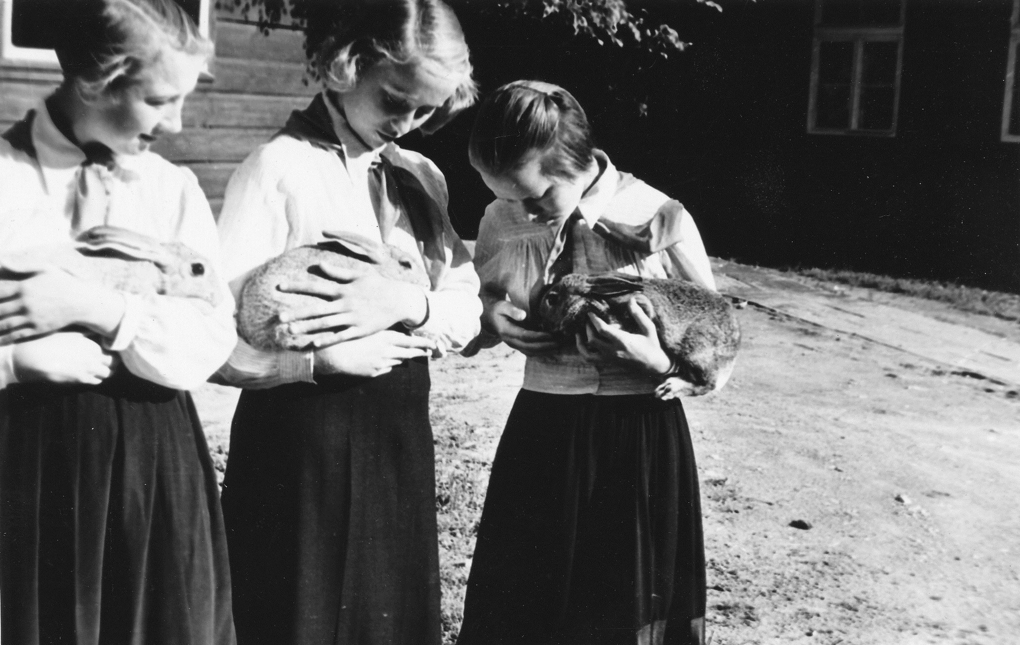 Foto. Võru I Keskkooli küülikukasvatajad  1956-1958.aastal.