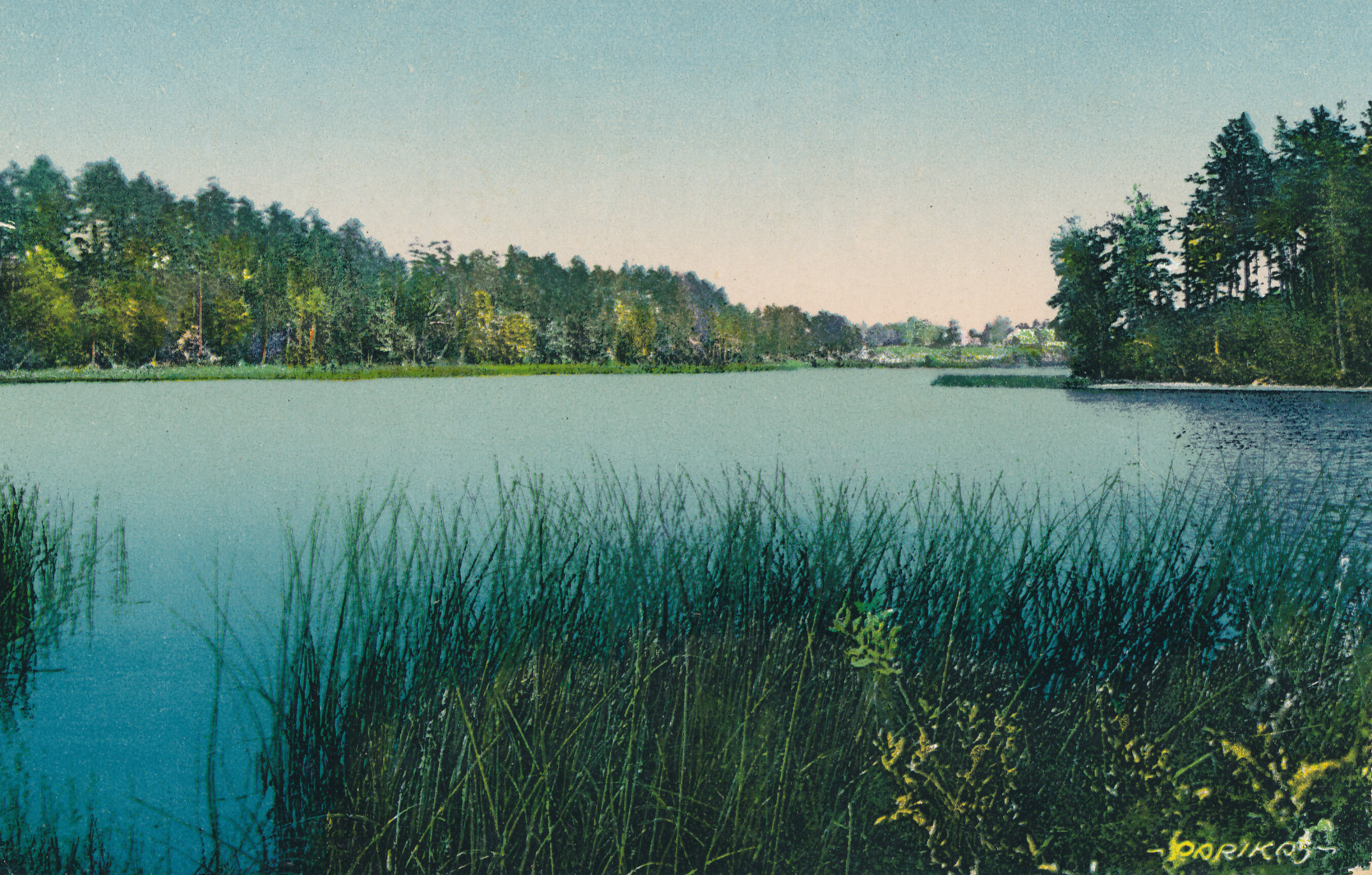 Fotopostkaart. Eesti maastik (Kasaritsa järv Võrumaal ?) 1920- nd a.Parikaste foto.