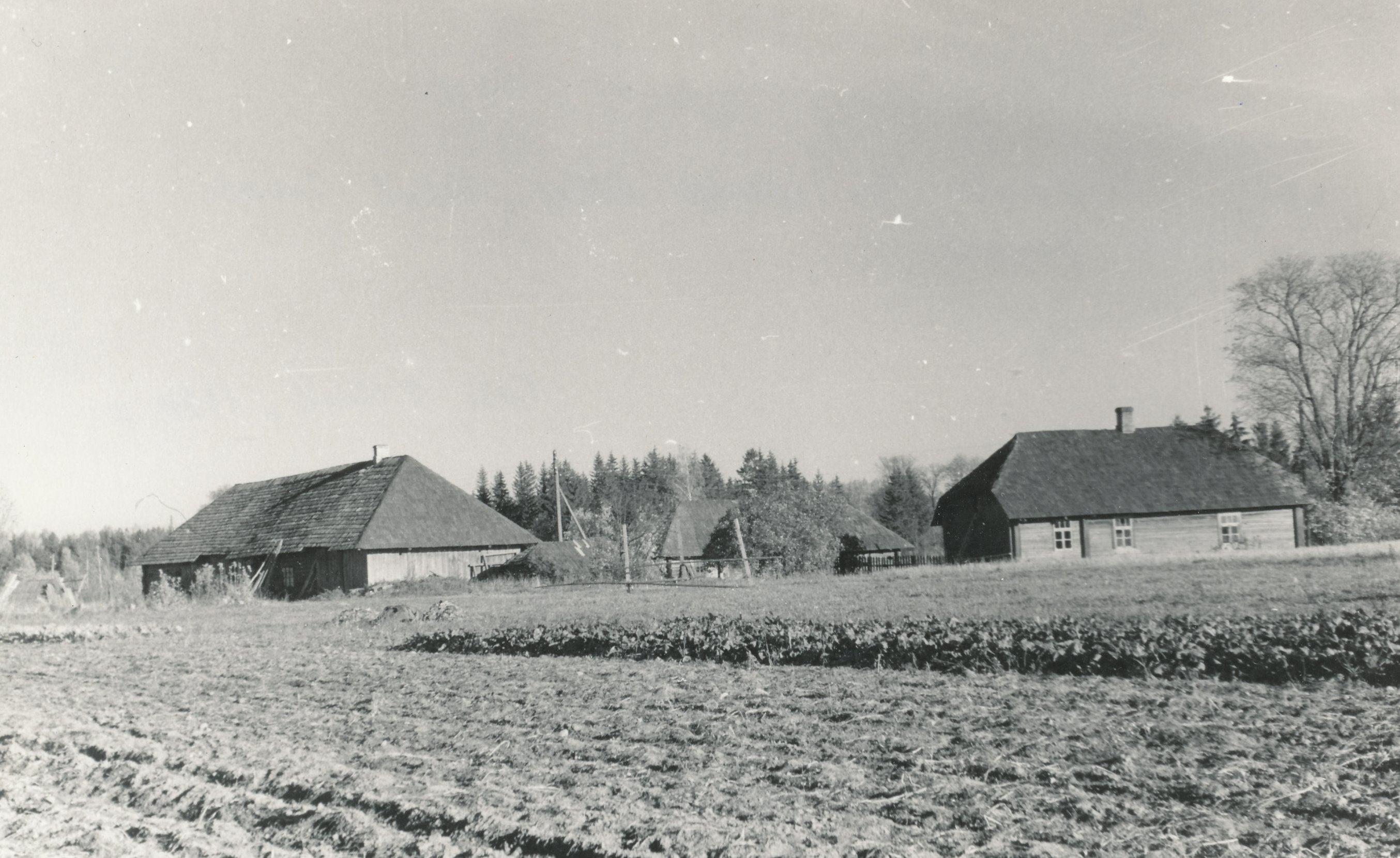 Foto. Teral, Roberti talu hooned Sõmerpalus k/n Mustja külas.