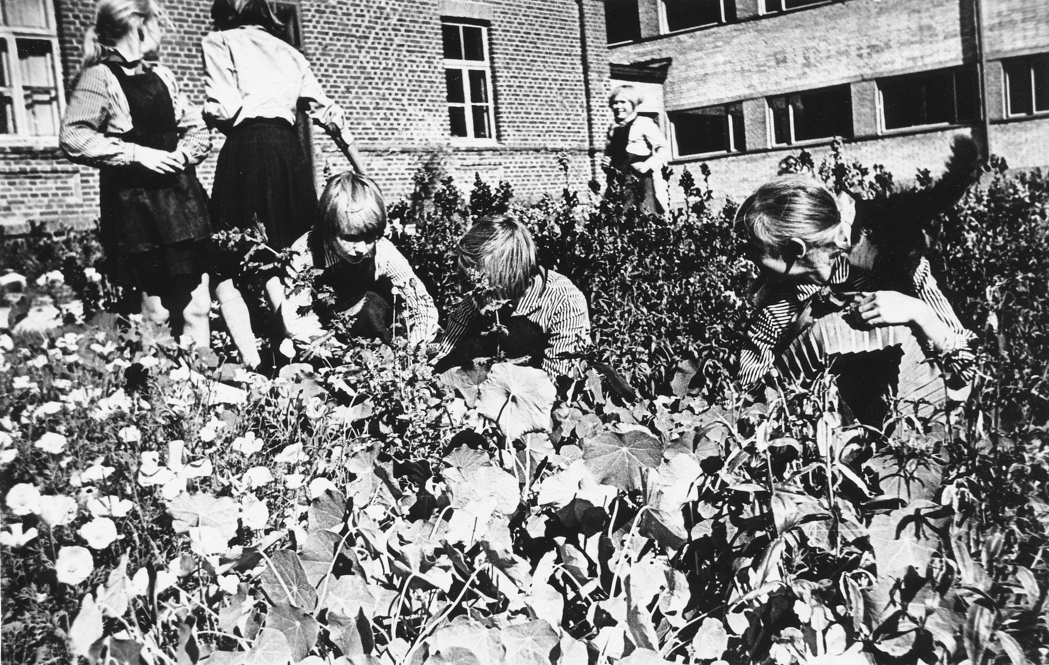 Foto. Rõuge kooli pioneerid kooli õppe-katseaias 1970-1971.aastal