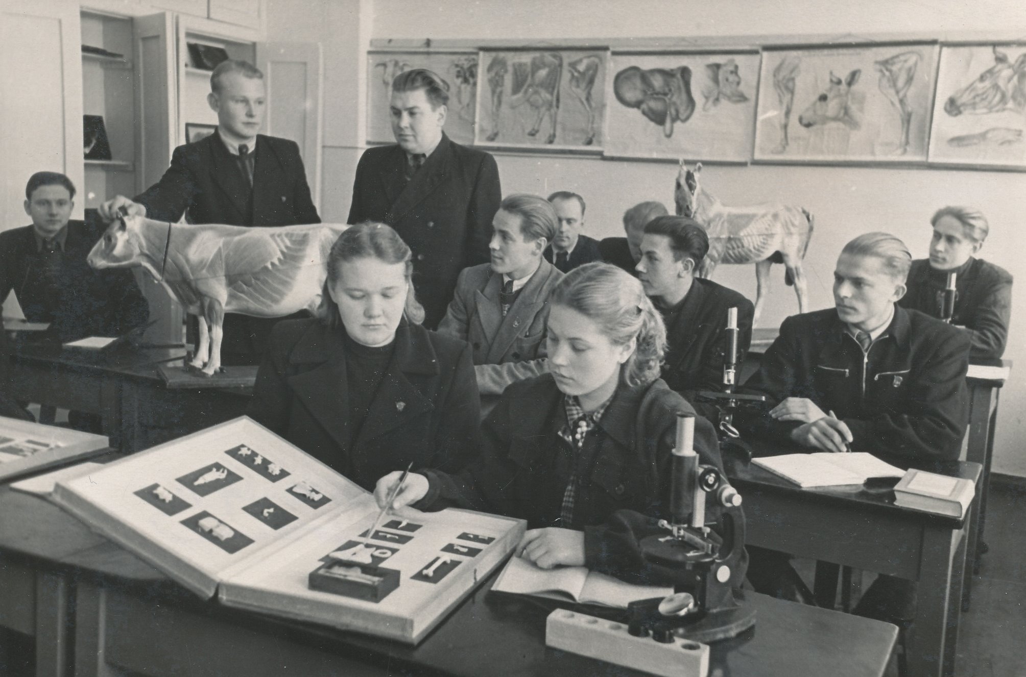 Foto. Patoloogia tund Väimela Zootehnikumi veterinaaria eriala IV kursusel 1953.a. jaanuaris.Õpetaja Klaassen kuulab J.Saabast.