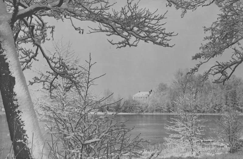 Foto. Väimela järv.Aarend Kabuni  foto näituselt.