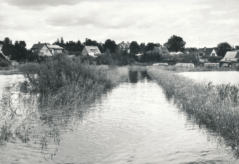 Foto. Kõrgvesi Võrus 1987.a. augustis Roosi tänava ümbruses