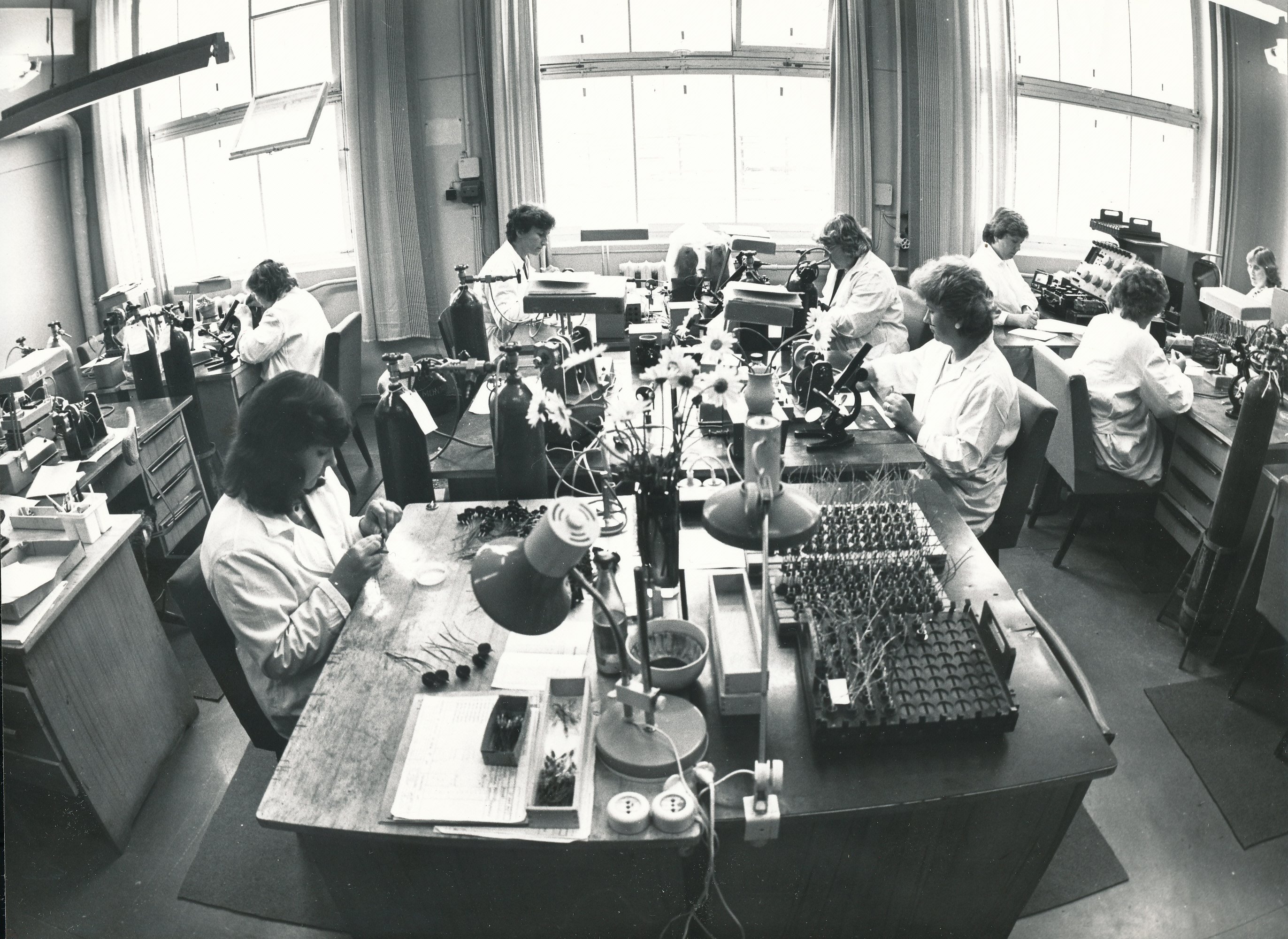 Foto.A.Veimeri nim.  Võru Gaasianalüsaatorite Tehase õlgelementide tsehh 28.juulil 1987.a.