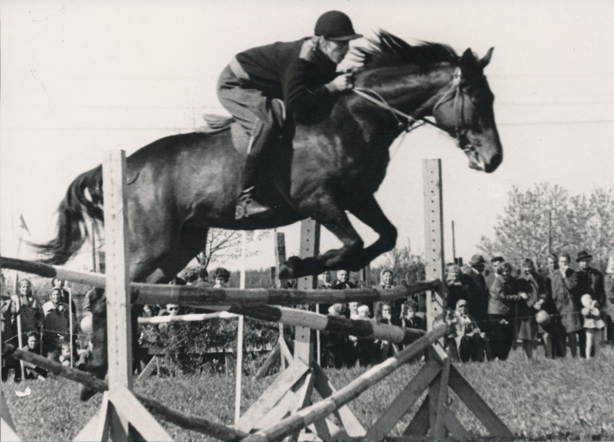Foto. Kollom, Raigo Väimelas ratsavõistluste demonstratsioonesinemistel 1971.a.