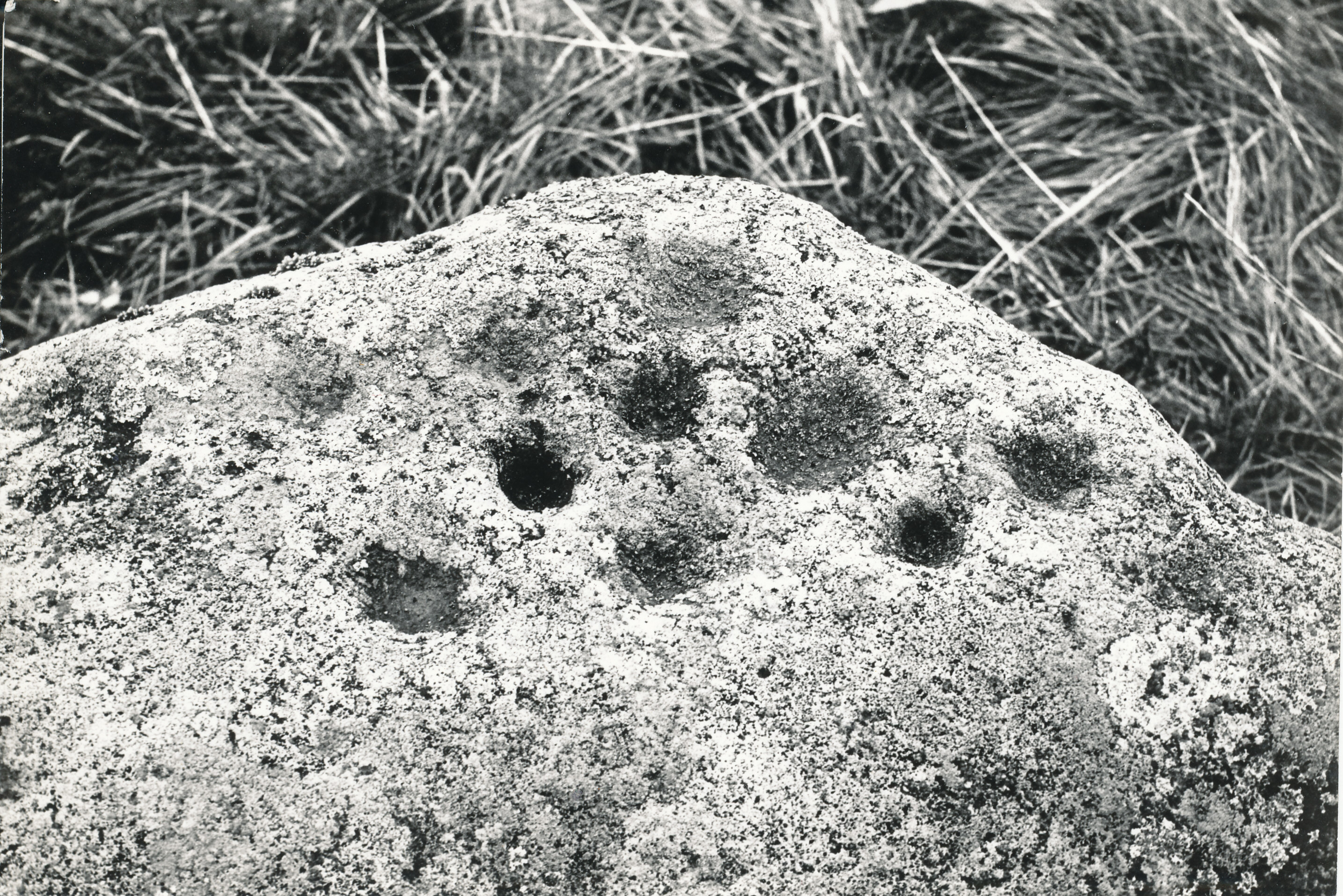 Foto.Väikeselohuline kultusekivi (I-at.e.m.a.-I at.m.a.j) Kõrgepalus Hurda talu rehe taga  1979.aasta sügisel.