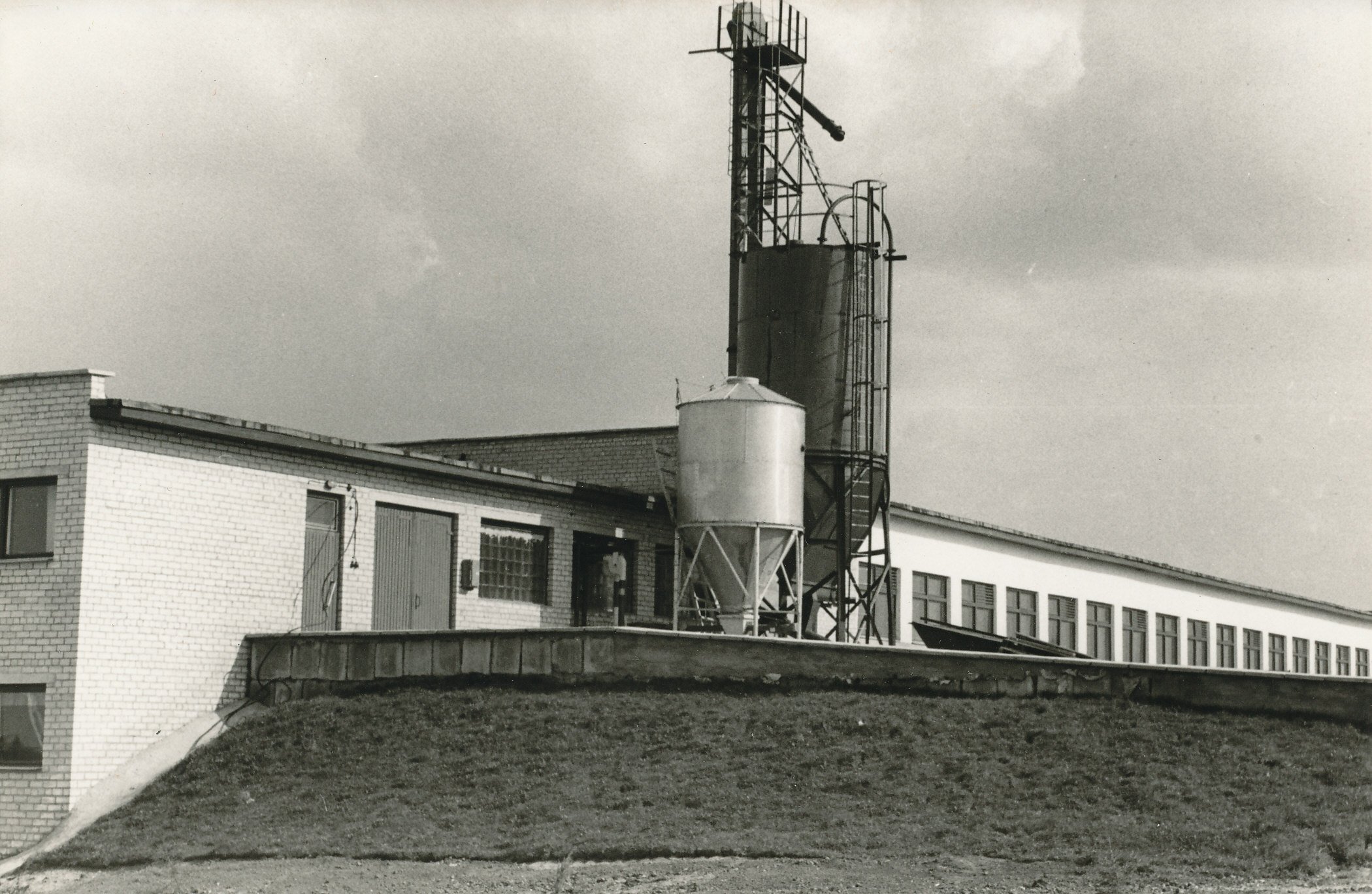 Foto. Vastseliina sovhoosi eksperimentaalne karjalaut 400 lüpsilehmale 1978.a. mais