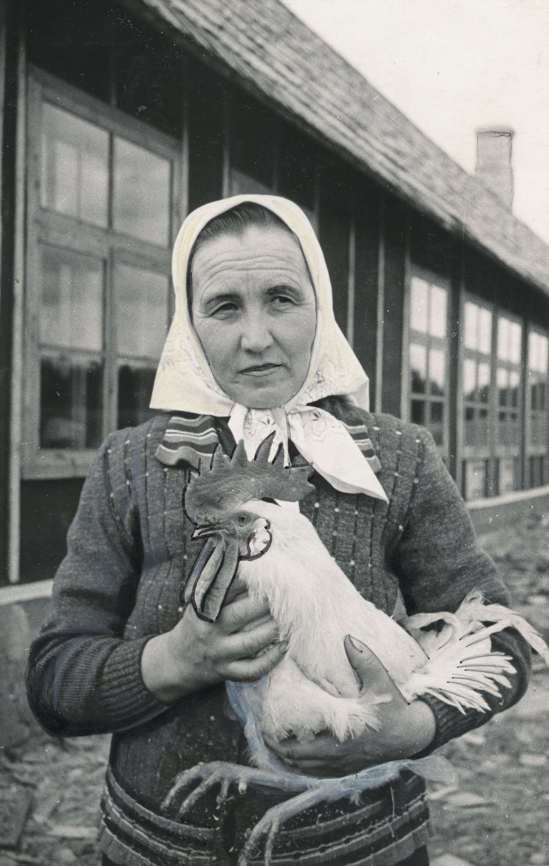 Foto. Vastseliina rajooni parim linnutalitaja E. Niilo mais 1955.a. kukega.