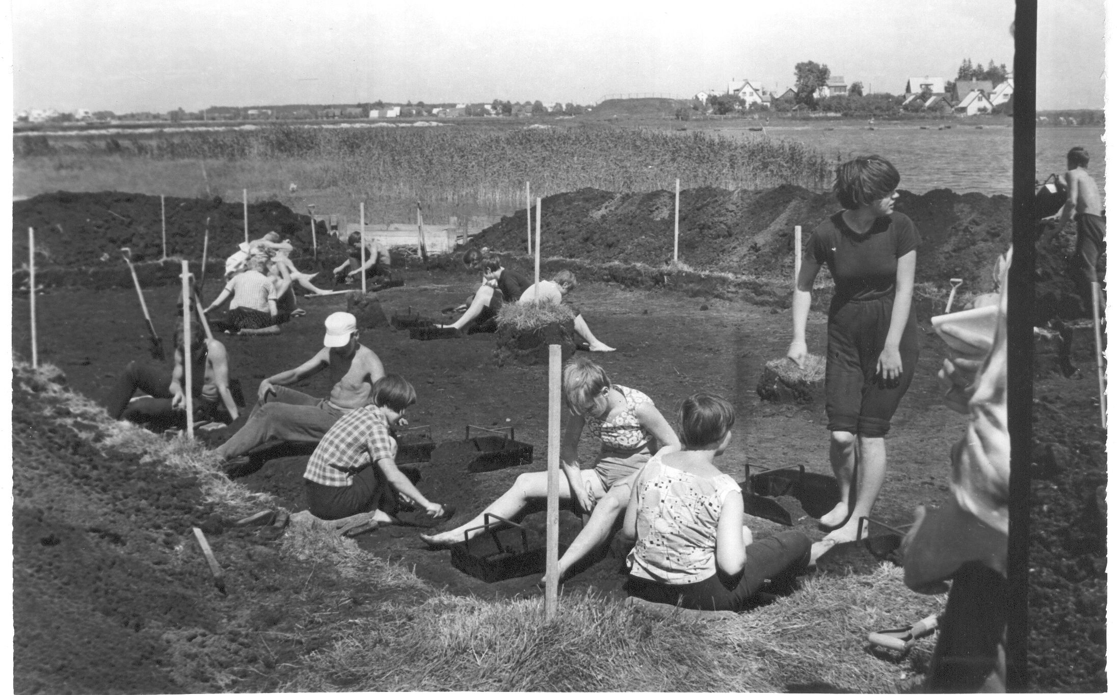 Foto. Arheoloogilised kaevamised Roosisaarel Tamula neoliitilisel asulakohal 1968.a. L. Jaanitsa juhendamisel.