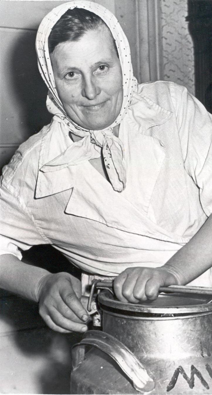 Foto. Ruusmäe sovhoosi parim lüpsja-karjatalitaja Kukker, Elsa Murati osakonnast.