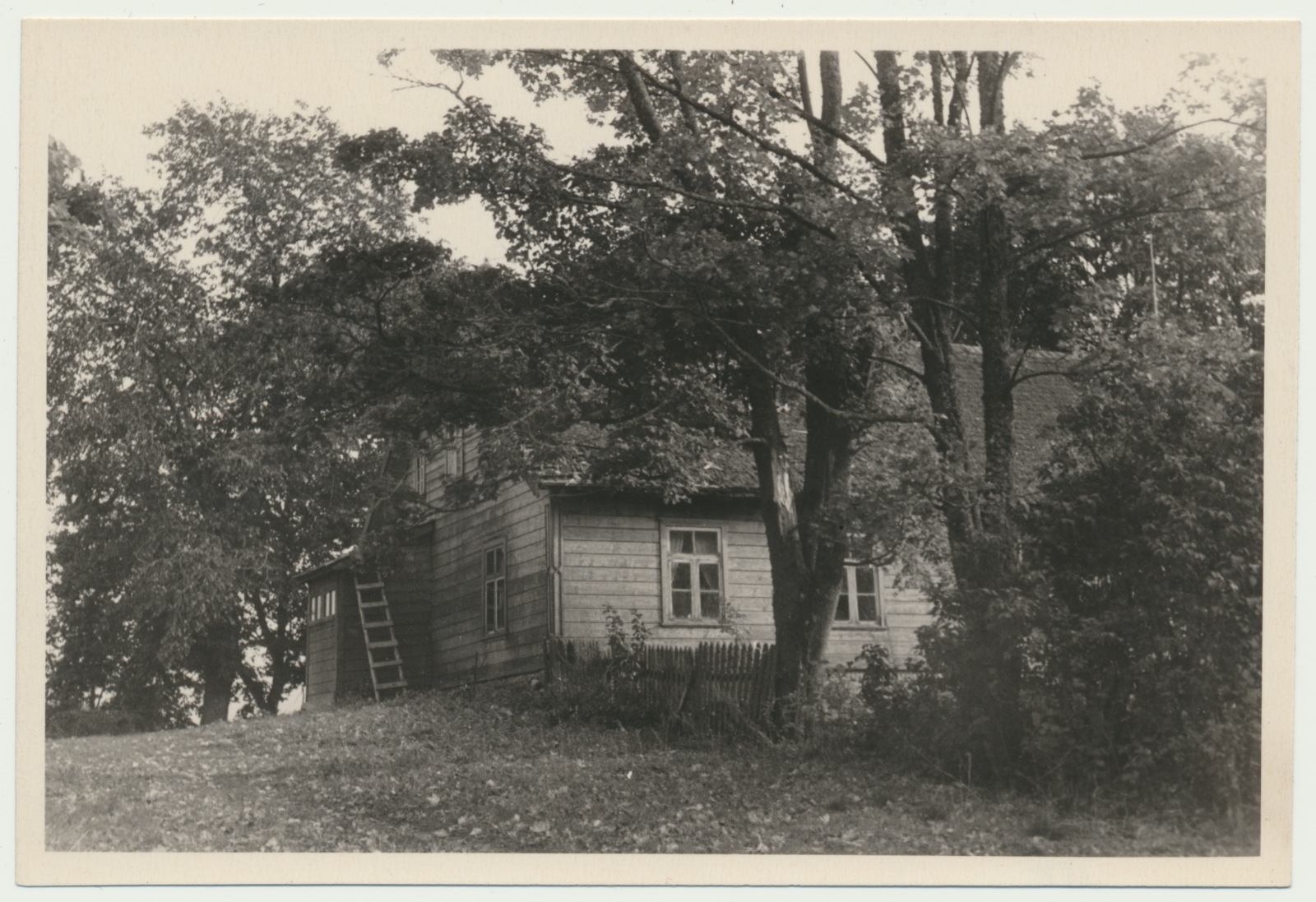 Paistu khk Holstre v Härjakoorma talu elamu, H. Henno sünnikodu, 1957 foto L.Vellema (VM VM 8932:17 F 156); Viljandi Muuseum;