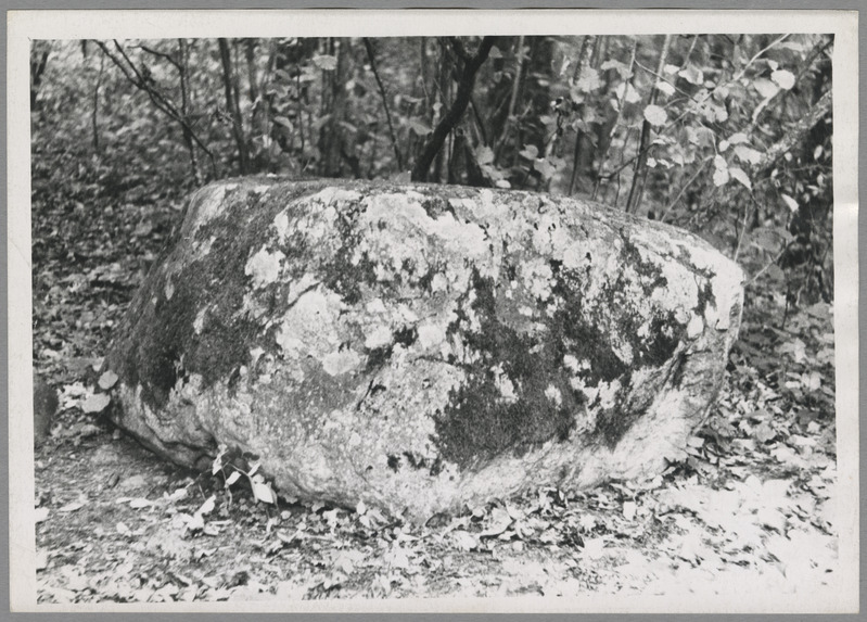 foto Viljandimaa rändrahn, Tammemäe Suurkivi u 1965