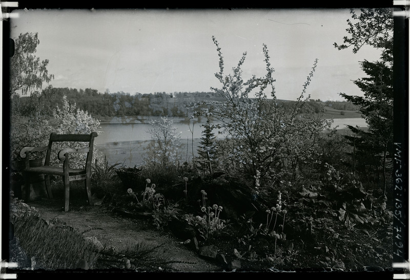 klaasnegatiiv Viljandi, vaade Schoeleri aiast (Pikk tn) järvele 1937 F T. Parri