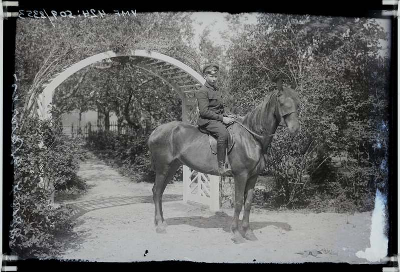 fotonegatiiv, J. Warres, hobune, aed, 1918, foto J. Riet