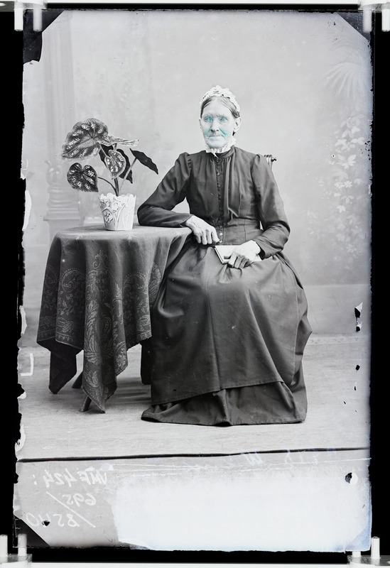 fotonegatiiv, Wilms, vanem naine, täisportree, laud, potilill, 1904, foto J. Riet