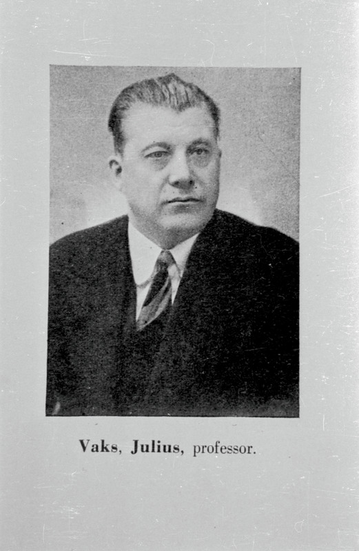 negatiiv, koopia fotost, Julius Vaks, rinnaportree, 1930ndad?
