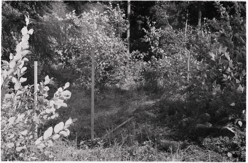 negatiiv, Viljandimaa, Risti kiriku varemete kaevamine, põhjakaevand, 1974