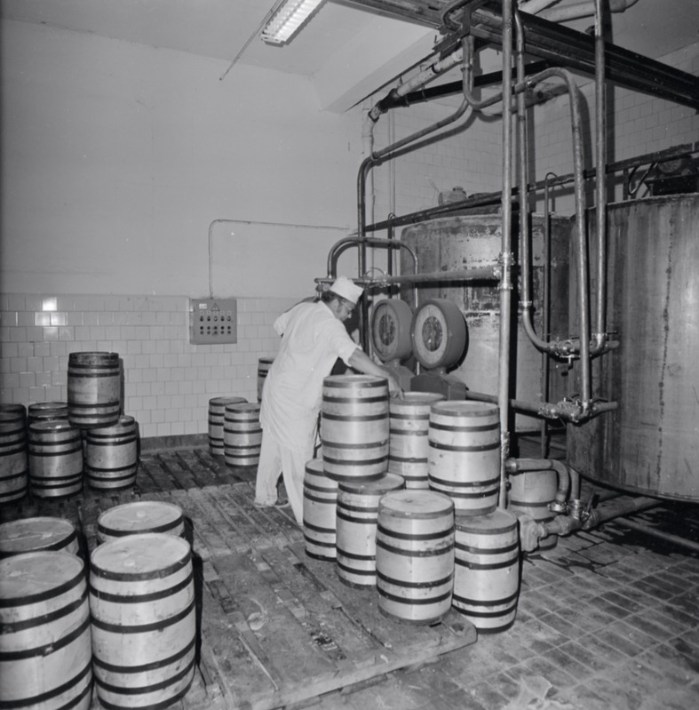 negatiiv, Viljandi, Piimatoodete kombinaat, võitünnid?, 1983