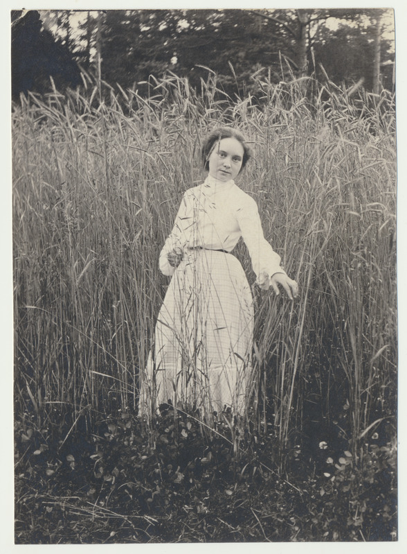 foto, Marie Riet, rukkipõld, u 1905, foto J. Riet
