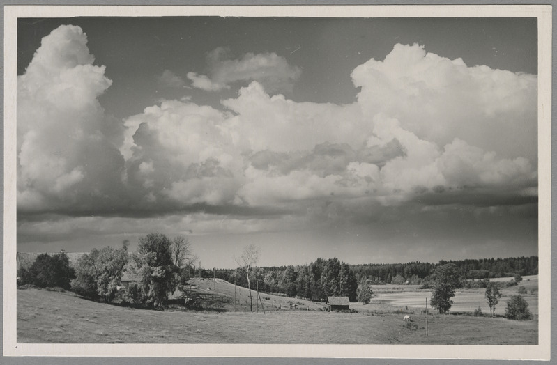 foto, Viljandimaa, Viiratsi, Laose Valgjärv, Asumaa algkool, u 1960, foto A. Kiisla