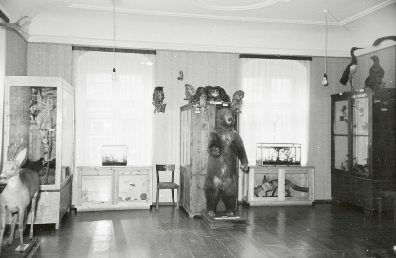 fotonegatiiv, Viljandi muuseum, loodusruum, 1958, foto L. Vellema