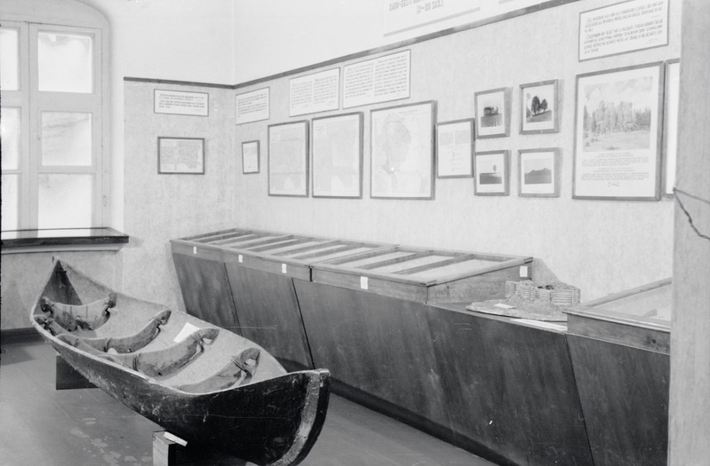 fotonegatiiv, Viljandi muuseum, arheoloogia ruum, 1958, foto L. Vellema
