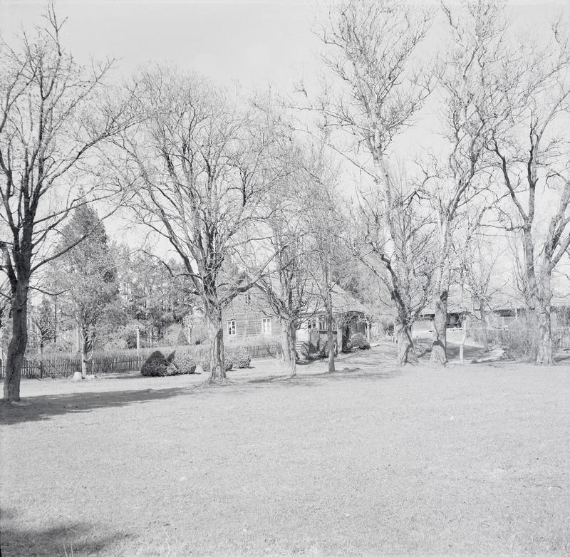 fotonegatiiv, Viljandimaa, Paistu kihelkond, Veske talu (M. veske kodukoht), u 1960, foto A. Kiisla