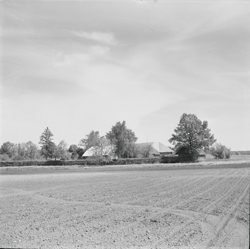 fotonegatiiv, Viljandimaa, Kipi talu hooned, 1970, foto A. Kiisla