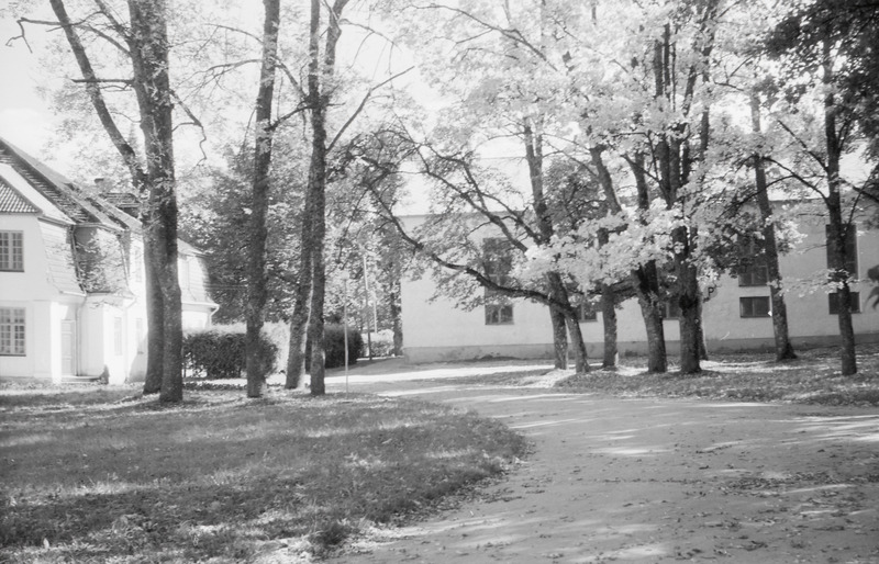 fotonegatiiv, Viljandimaa, Olustvere, tehnikumi park, 1964, foto A. Kiisla
