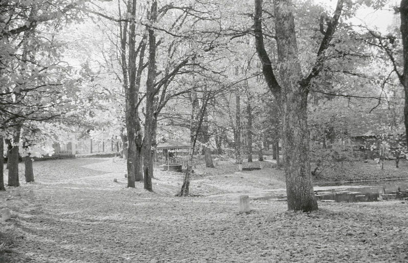 fotonegatiiv, Viljandimaa, Olustvere, tehnikumi park, 1964, foto A. Kiisla