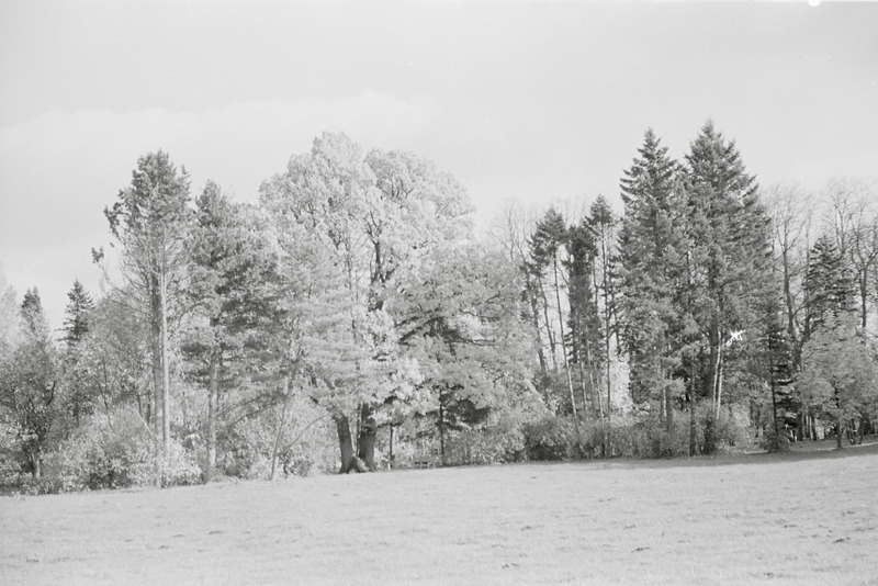 fotonegatiiv, Viljandimaa, Olustvere, tehnikumi park, 1964, foto A. Kiisla
