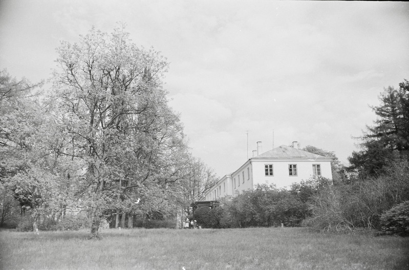 fotonegatiiv, Viljandimaa, endine Polli mõisa peahoone, park, 1965, foto A. Kiisla