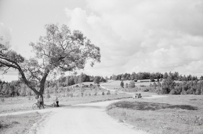 fotonegatiiv, Viljandimaa, Holstre-Paistu maastik, 1965, foto A. Kiisla