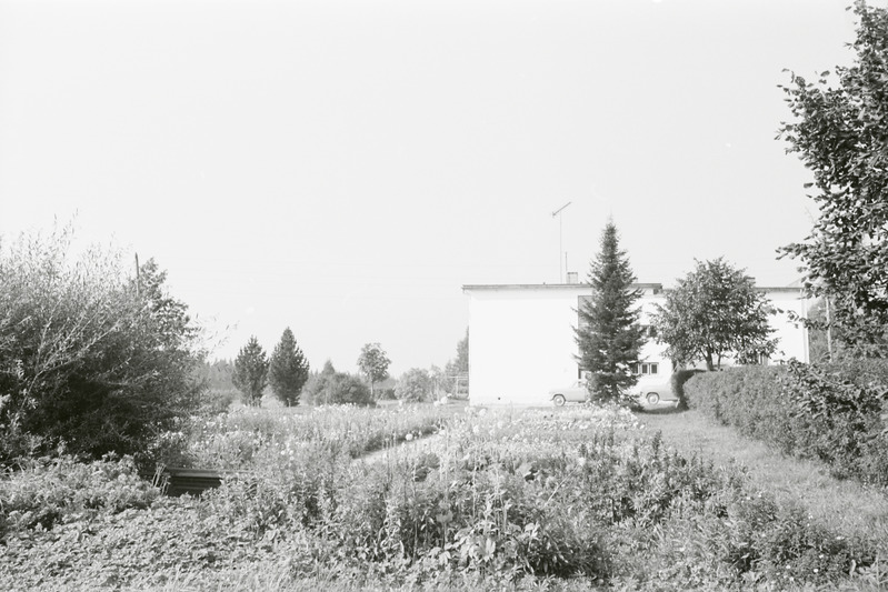 fotonegatiiv, Valgamaa, Laatre koolimaja, aed, 1965, foto A. Kiisla