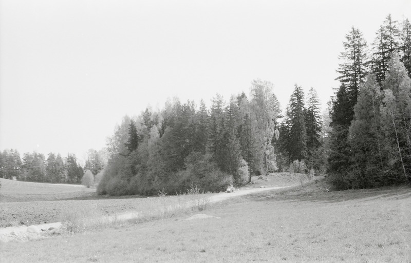 negatiiv, Viljandimaa, Holstre Mustlasemägi 1971 F A.Kiisla