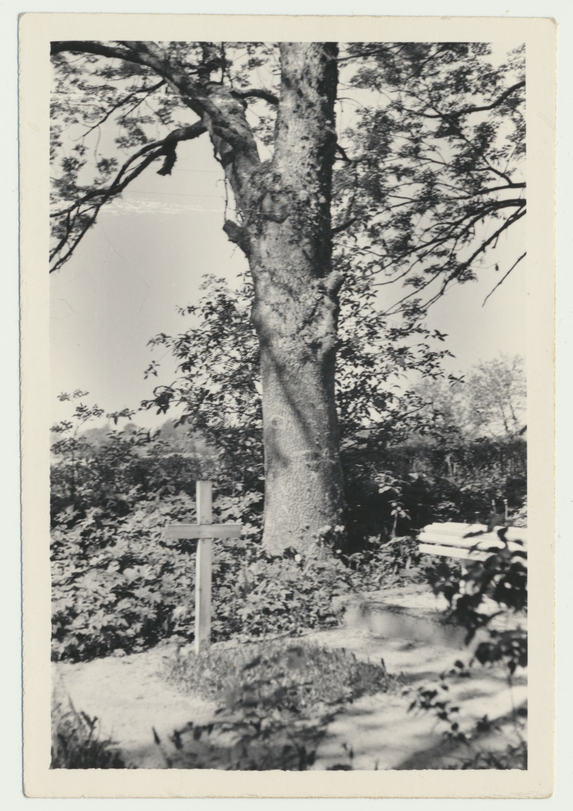 foto Pilistvere, Reinhold Kamseni haud 1961