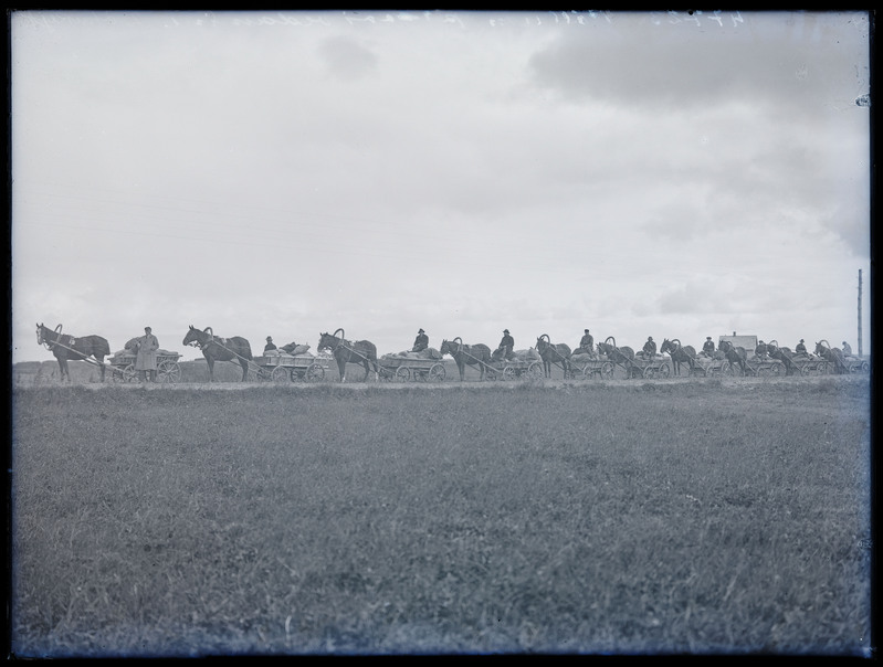 negatiiv Viljandimaa, hobused, viljakoormad (proovivilja vedu), foto J. Riet, 47723, 1926