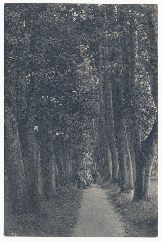 trükipostkaart albumis, Viljandi, Filosoofia pst u 1920