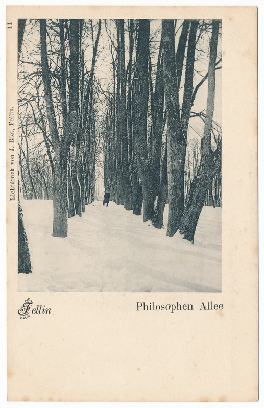 trükipostkaart albumis, Viljandi, Filosoofia pst 1905, valgustrükk J. Riet, nr. 11