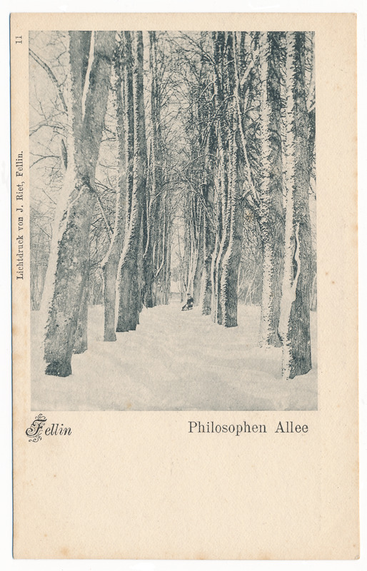 trükipostkaart albumis, Viljandi, Filosoofia pst 1905, valgustrükk J. Riet, nr. 11