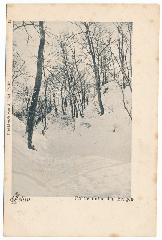 trükipostkaart albumis, Viljandi lossimäed, Suurorg u 1905, valgustrükk J. Riet, nr. 13