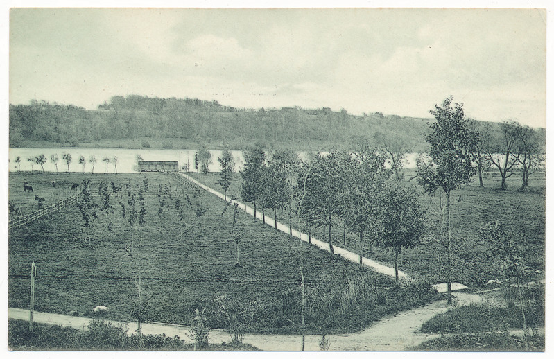 trükipostkaart albumis, Viljandi järveäärne koppel, heinamaa, järv u 1910