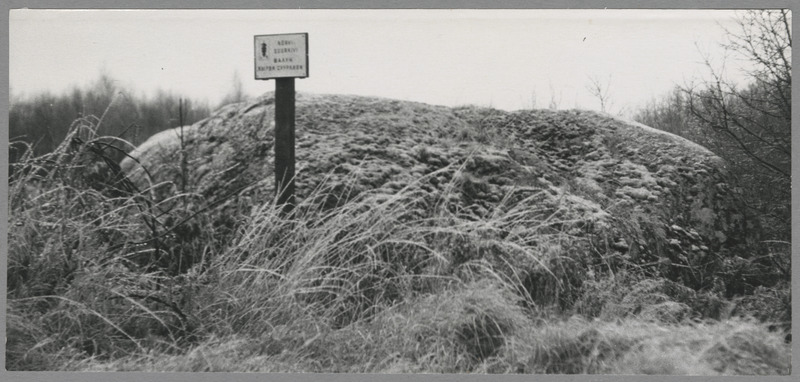 foto Paistu Suurkivi 1963 foto A.Kiisla