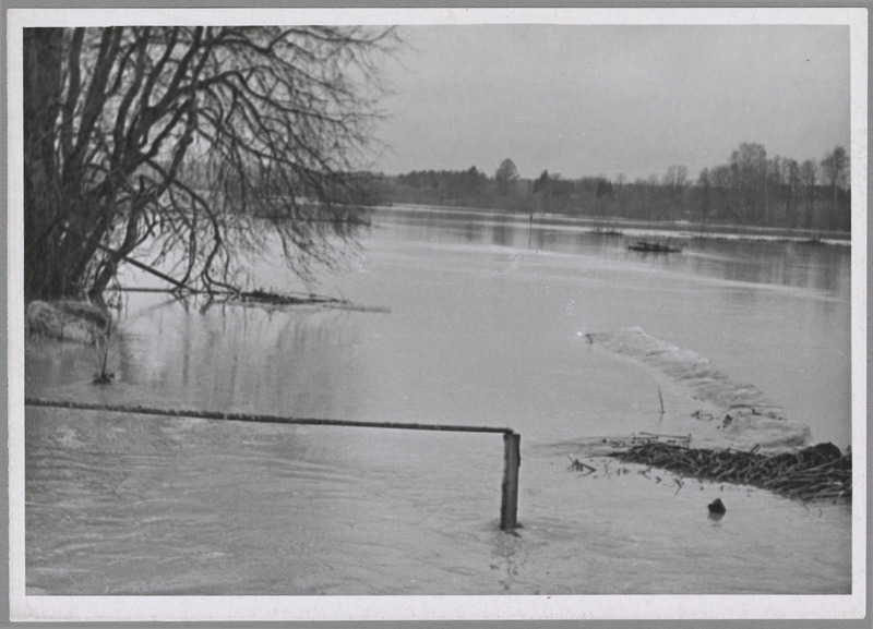 foto Viljandimaa Kuudeküla, Tänassilma jõgi, kevadine suurvesi IV 1960 foto A. Kiisla