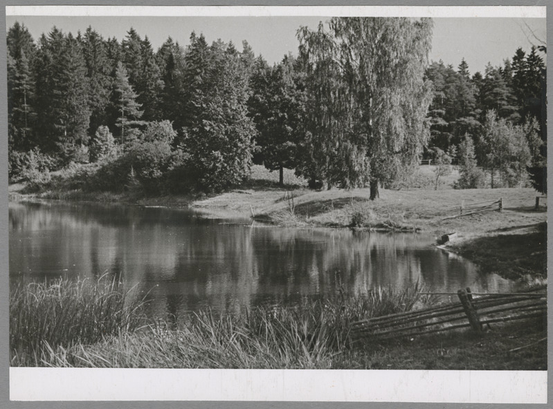 foto Viljandimaa Holstre Linajärv IX 1960 foto A. Kiisla