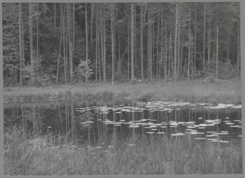 foto Viljandimaa, Nõiajärv 1964