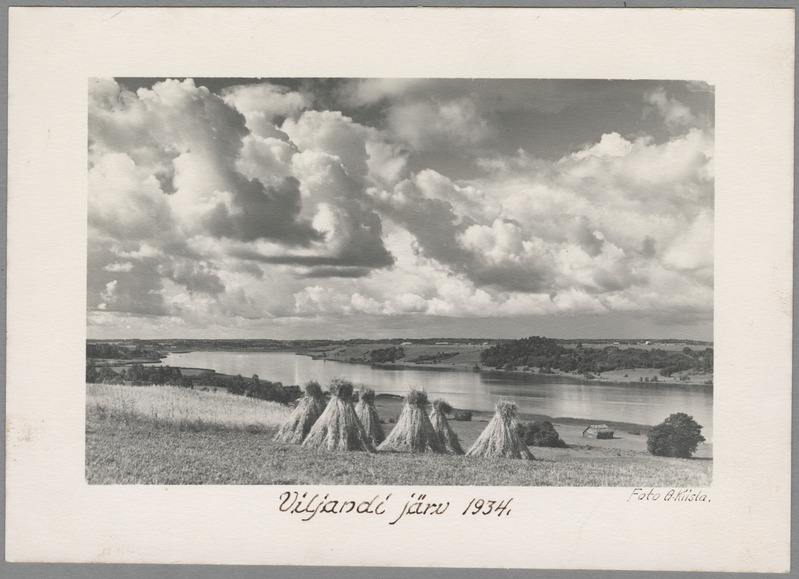 foto Viljandi järv ümbrusega, rukkihakid 1934 foto A. Kiisla