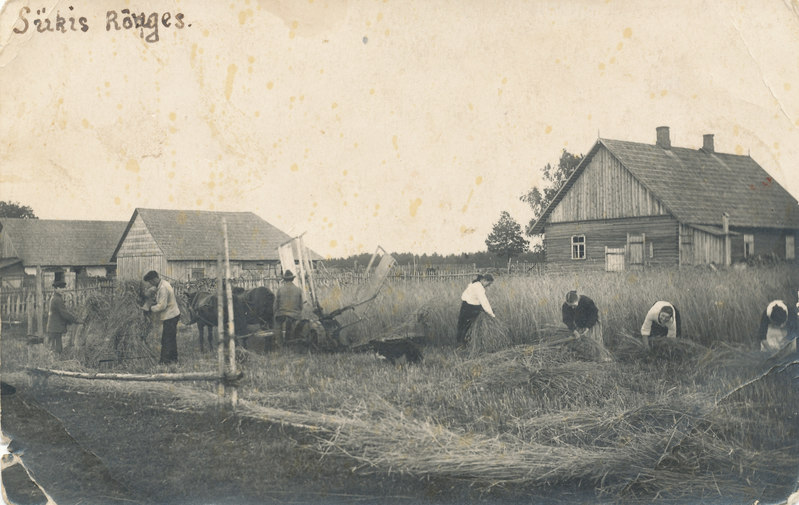 Rukki panemine Rõuges