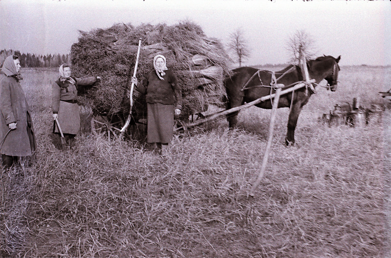 Lina ropsimine masinaga